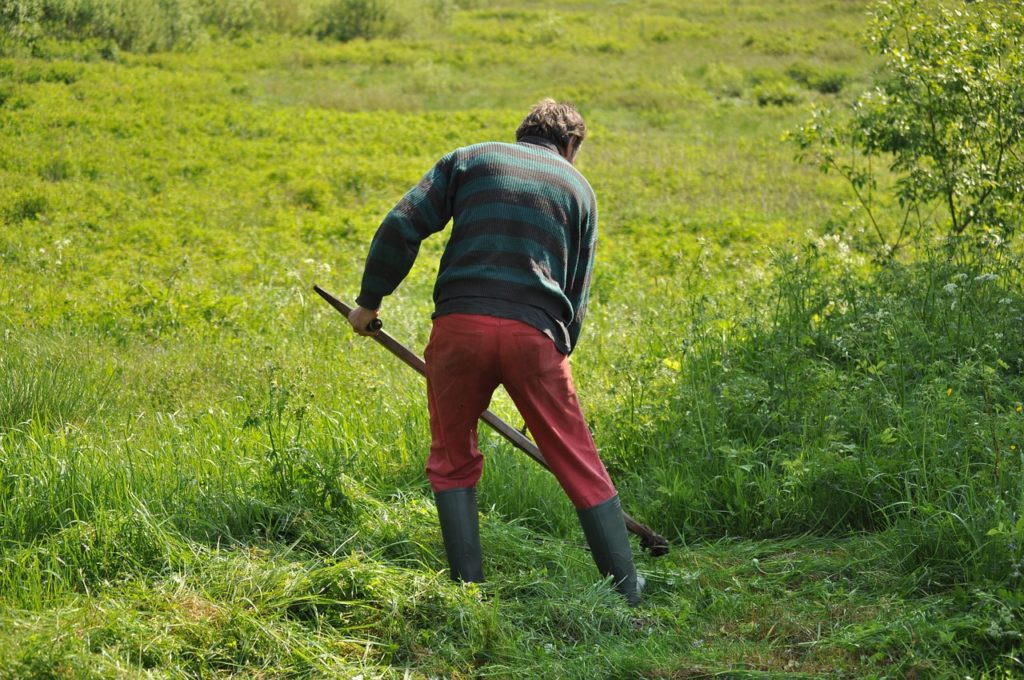 Assicurazione agevolata per imprenditori agricoli contro avversità atmosferiche e calamità naturali primavera-estate 2021.