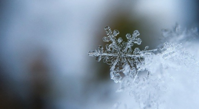 Avviso di condizioni meteorologiche avverse per gelate il 14-15-16 Febbraio