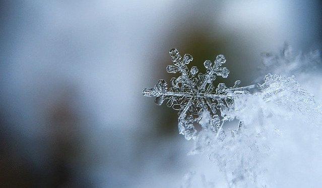 Avviso di condizioni meteorologiche avverse per gelate il 14-15-16 Febbraio