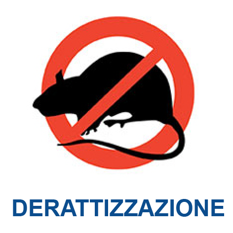 Intervento di derattizzazione