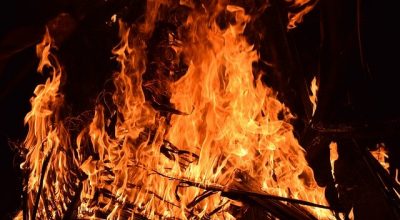 Presa d’atto con Deliberazione di Giunta n.132 del 3/07/2023 per i danni causati al comparto apistico locale da eventi calamitosi “ incendi” avvenuti nel periodo  31/07/2023 – 02/08/2023.