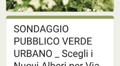 Sondagggio Pubblico Verde Urbano: Scegli i Nuovi Alberi per via Dante
