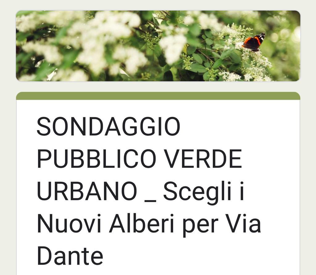 Sondagggio Pubblico Verde Urbano: Scegli i Nuovi Alberi per via Dante