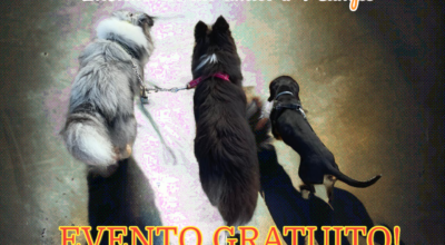 Sa passillada cun su cani a Santu Millanu